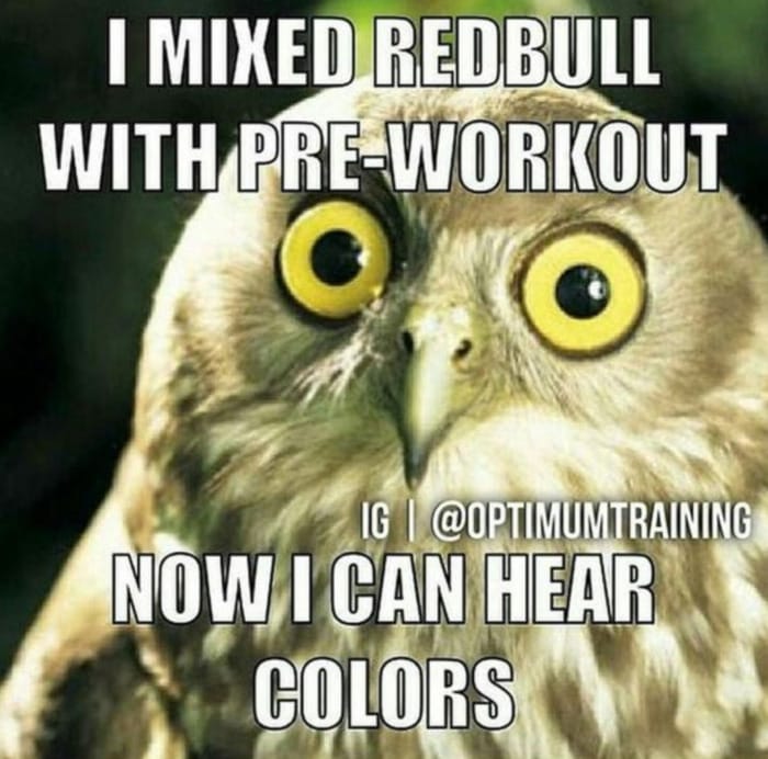 Funny Workout Memes - Preworkout Owl