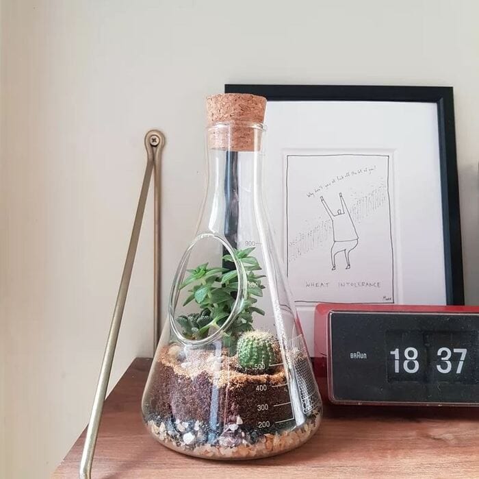 Gifts for nature lovers - Chemistry Glass Terrarium