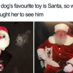 Dog's Favorite Toy is Santa