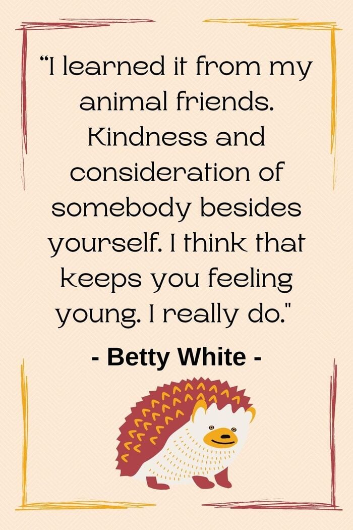 Betty White Quotes - Be kind like animals
