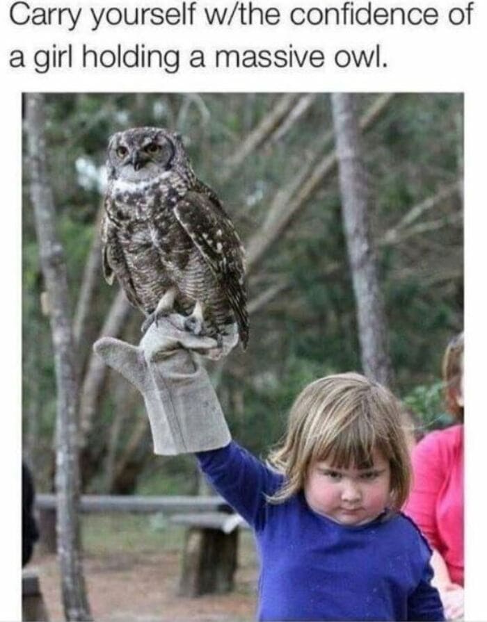 Owl Memes - Carry yourself with the confidence of a girl carrying a missive owl