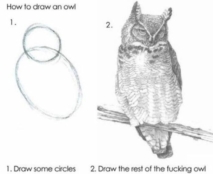Owl Memes - How to draw an owl, draw 2 circles, then the rest of the owl