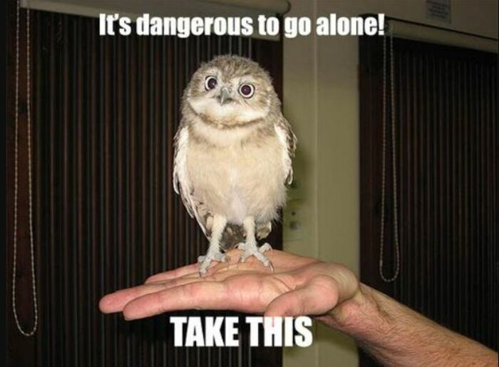 Owl Memes - It's dangerous to go alone, Take this, man holding out an owl