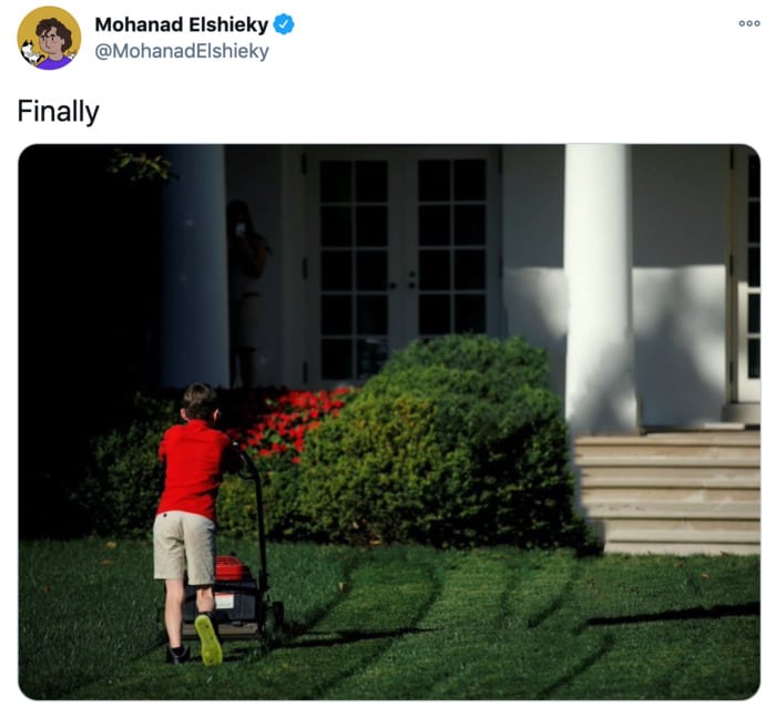 Trump Twitter Ban Memes - Boy Mowing Lawn