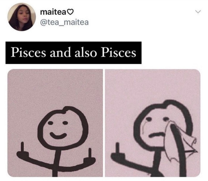 Pisces Memes - stick figure crying