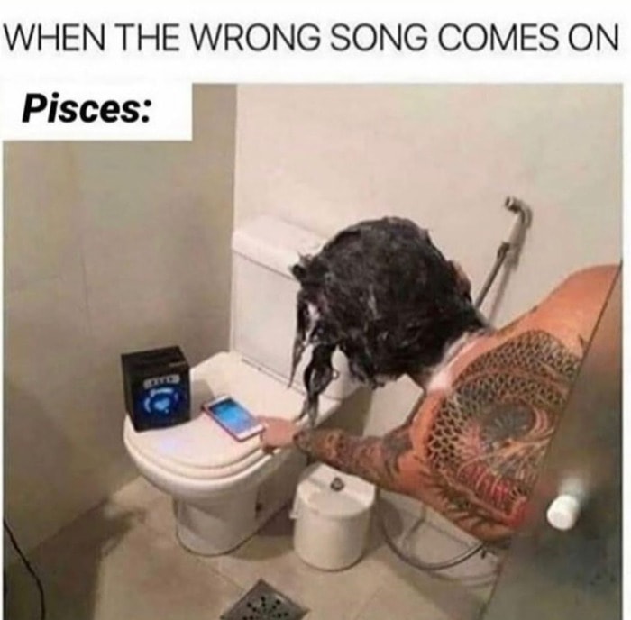 Pisces Memes - changing song from shower