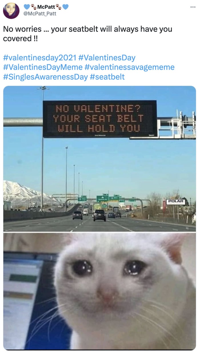 Valentine's Day Memes - seat belt