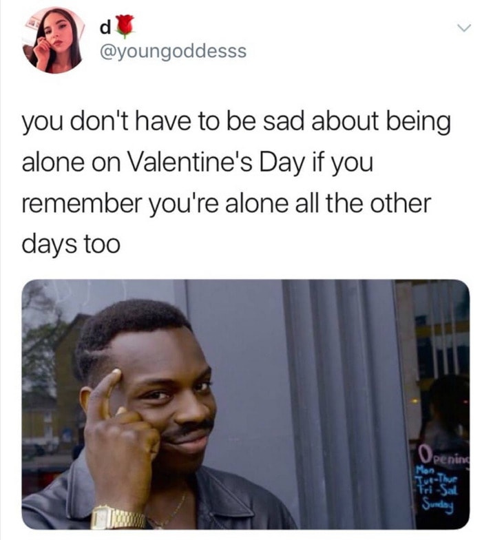 Valentines Day Memes - alone everyday