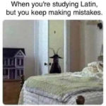 Goat Memes - Latin