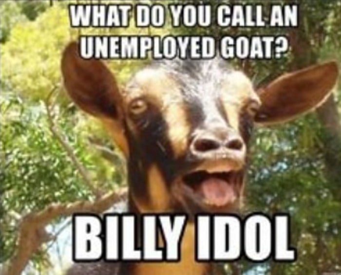 Goat Memes - enemployed goat Billy Idol
