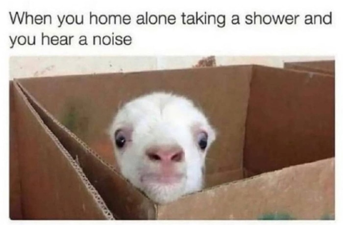 Goat Memes - home alone taking a shower