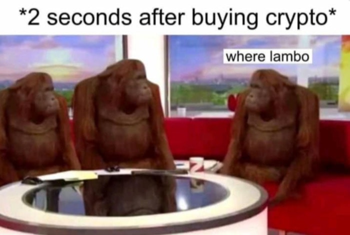 Crypto Memes - Where Lambo