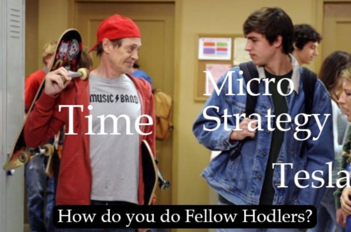 Crypto Memes - Fellow Holders Time Microstrategy Tesla