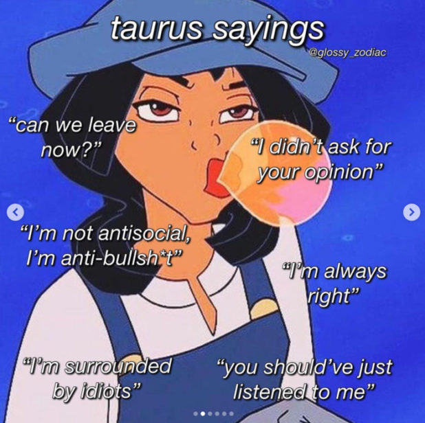 20 Funny Taurus Memes for All You Bulls Out There | Darcy