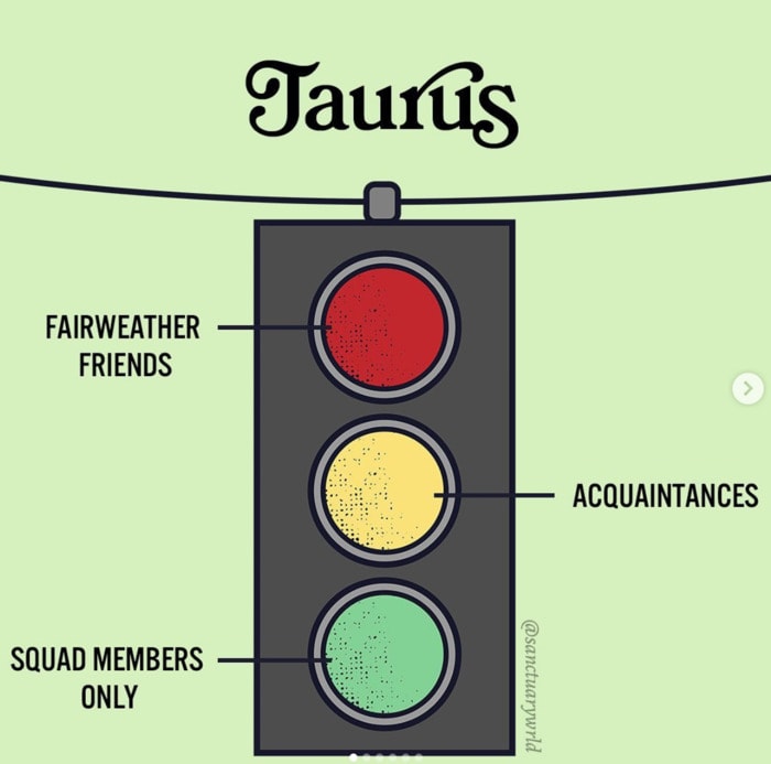 Taurus Memes - stoplight