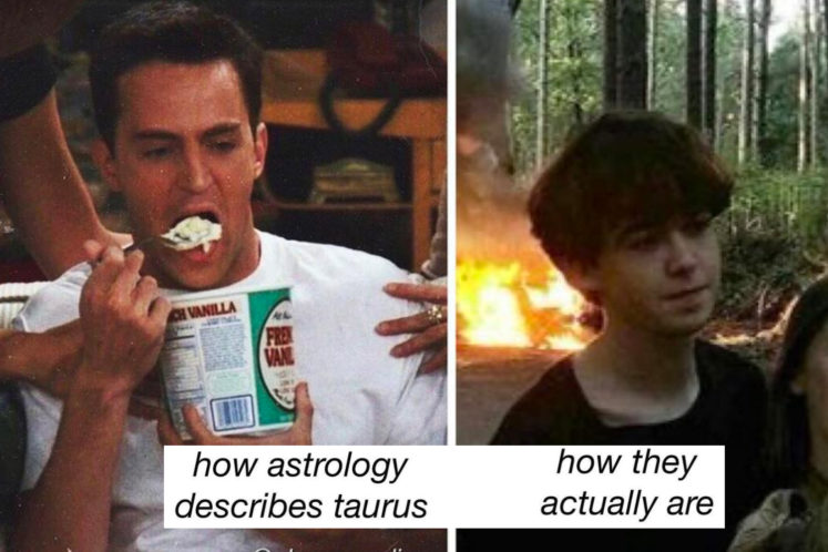 20 Funny Taurus Memes for All You Bulls Out There