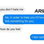 Aries Memes - I feel nothing