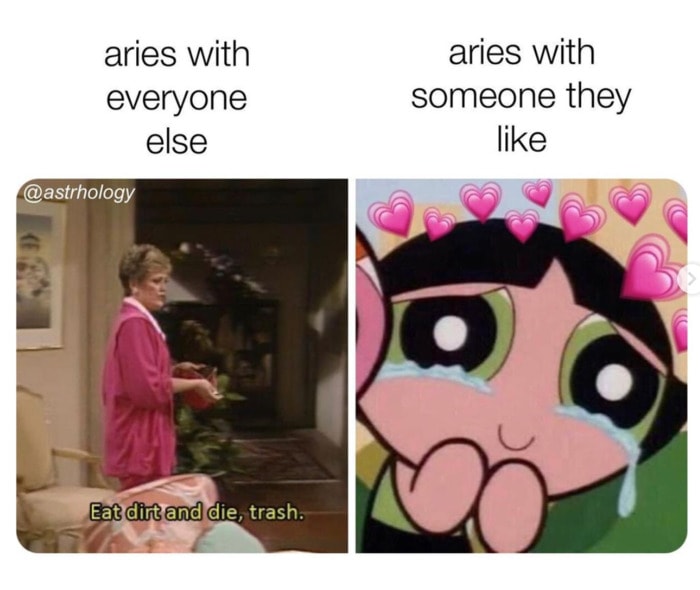 Aries Memes - with someone they like