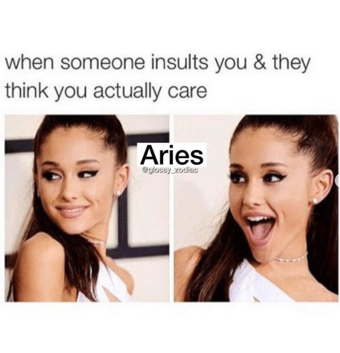 Aries Memes - think you actually care