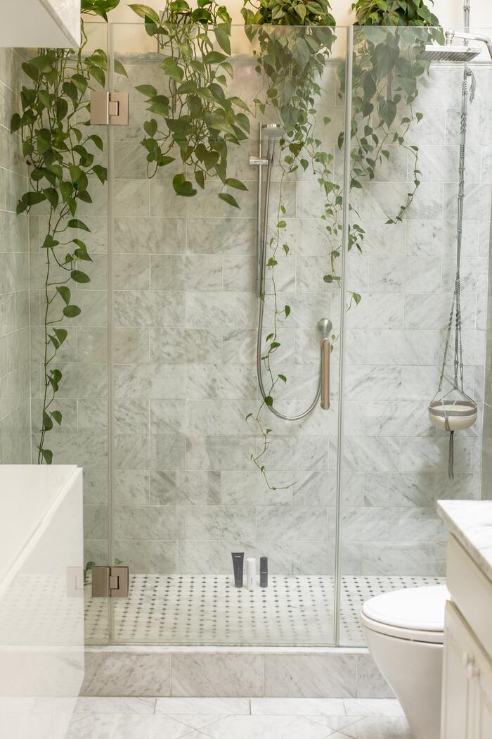 Shower Sex Positions - plants in shower