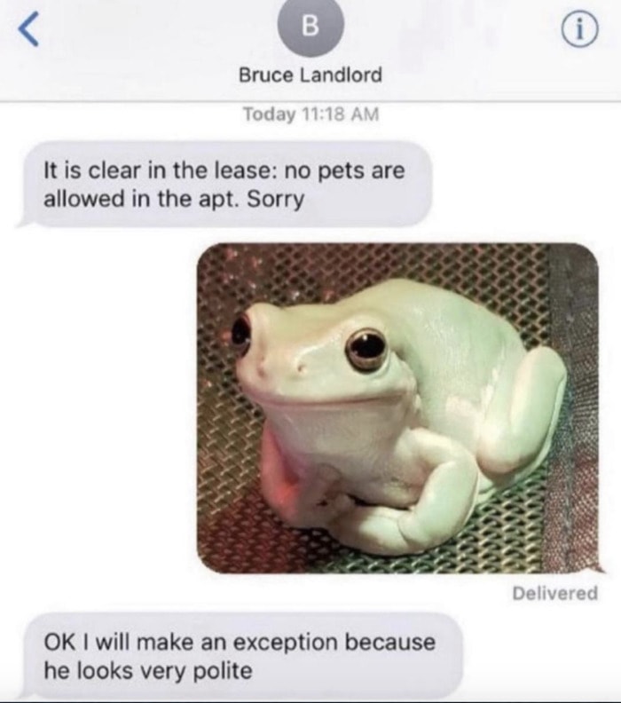 Wholesome Memes - no pets allowed text frog