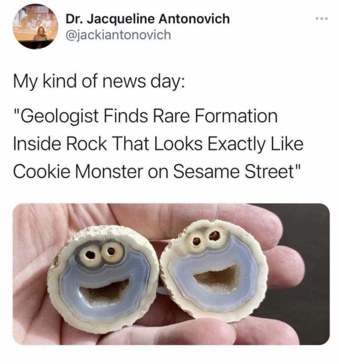 Wholesome Memes - Cookie Monster rock