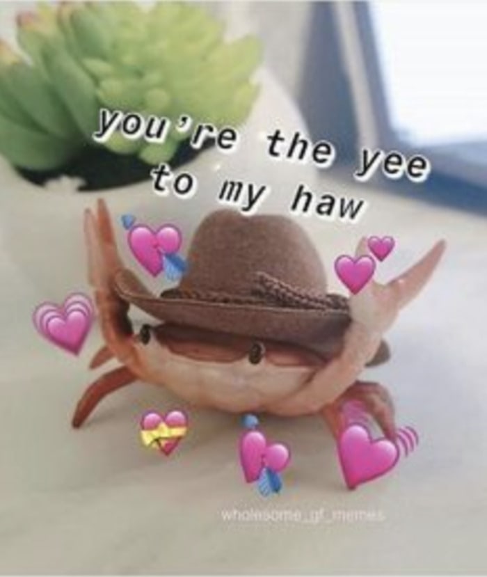 Wholesome Memes - yee to my haw crab