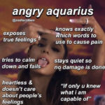 Aquarius Memes - angry