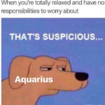 Aquarius Memes - that's suspicious