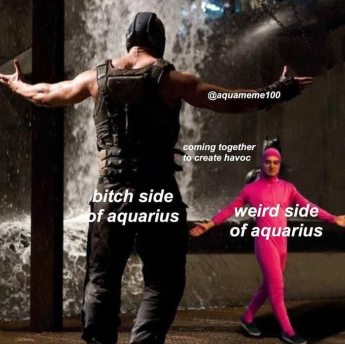 Aquarius Memes - weird side