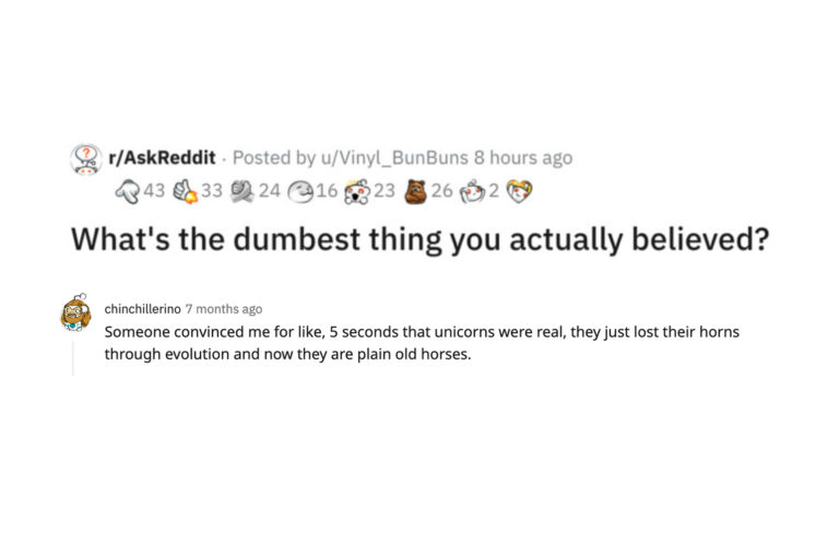 28 People Admit the Dumbest Things They Actually Believed