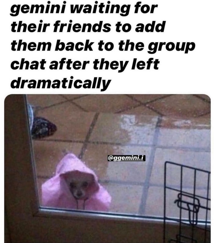 Gemini Memes - Group Chat