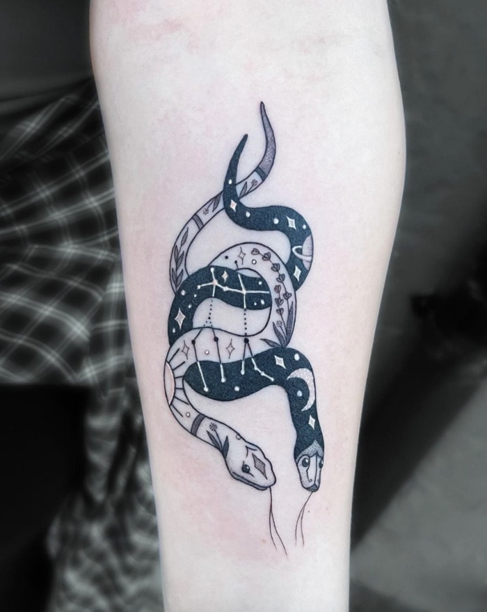 Gemini Tattoos - black and white snakes
