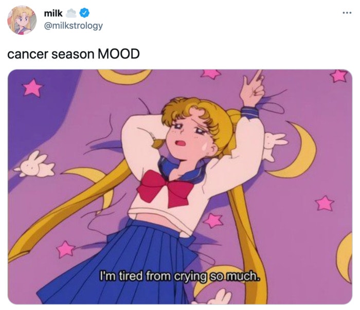 Cancer Zodiac Sign Memes - crying sailor moon