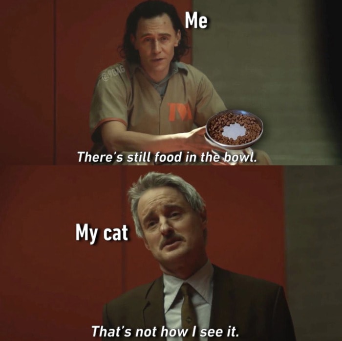 Loki Memes - Mobius Cat