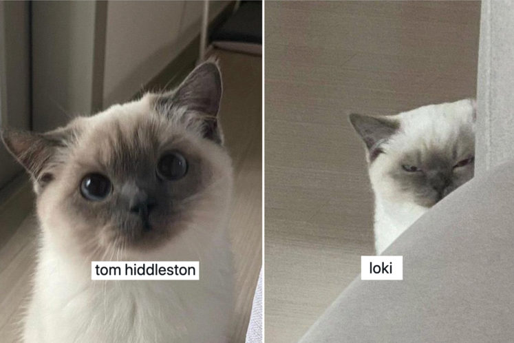 21 Funny Loki Memes to Read When You’ve Got the Time