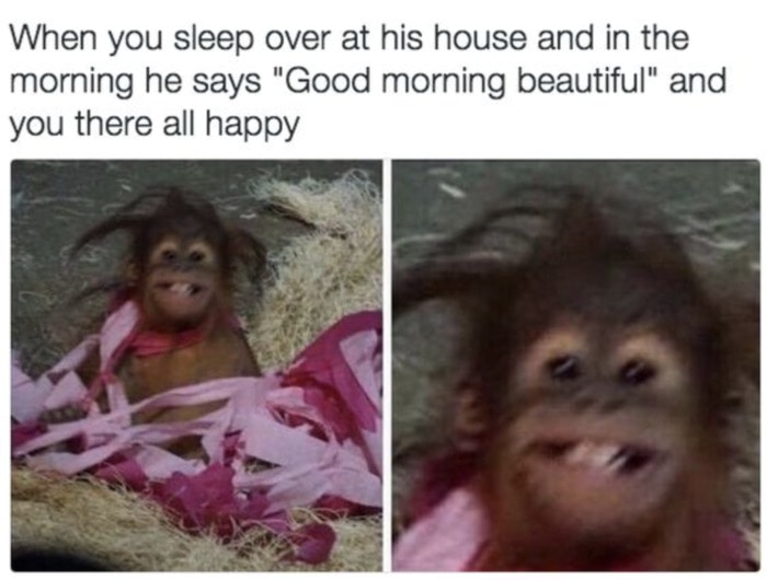 Relationship Memes - sleep over all happy