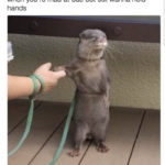 Relationship Memes - mad at bae but wanna hold hands