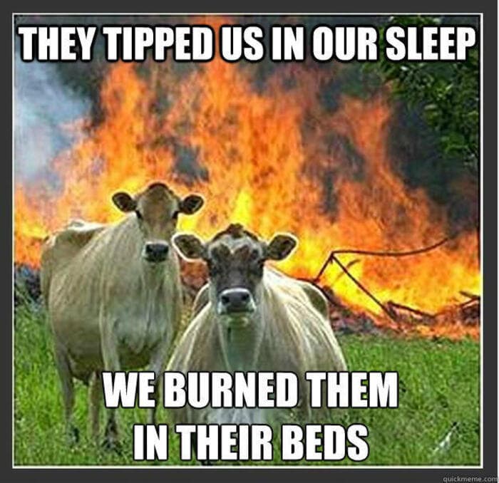 Funny Memes - Evil Cows