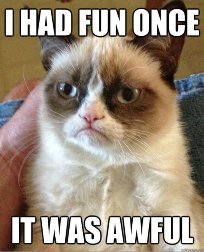 Funny Memes - Grumpy Cat