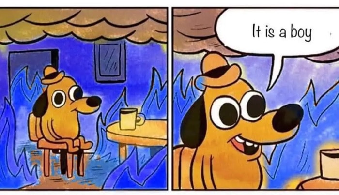 Funny Memes - This Is Fine Dog