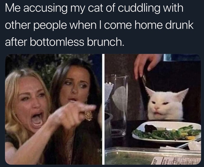 Funny Memes - Woman Yelling at Cat