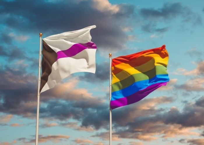 What is Demisexuality - demisexual LGBTQ flag
