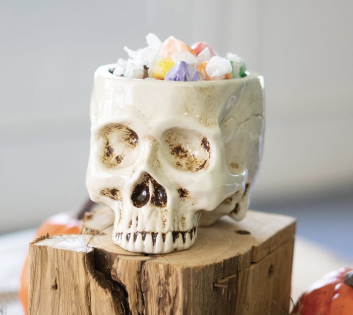 Pottery Barn Halloween - Skull Planter