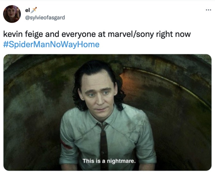 Spider-Man No Way Home Trailer Leak Memes - Loki