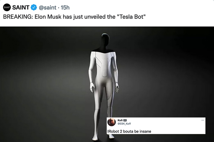 Tesla Bot Memes