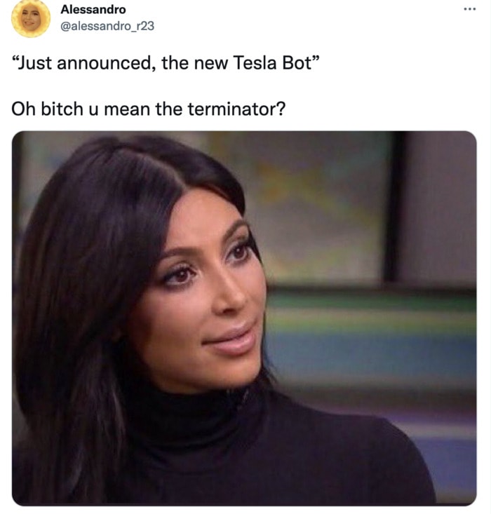 Tesla Bot Memes - Terminator