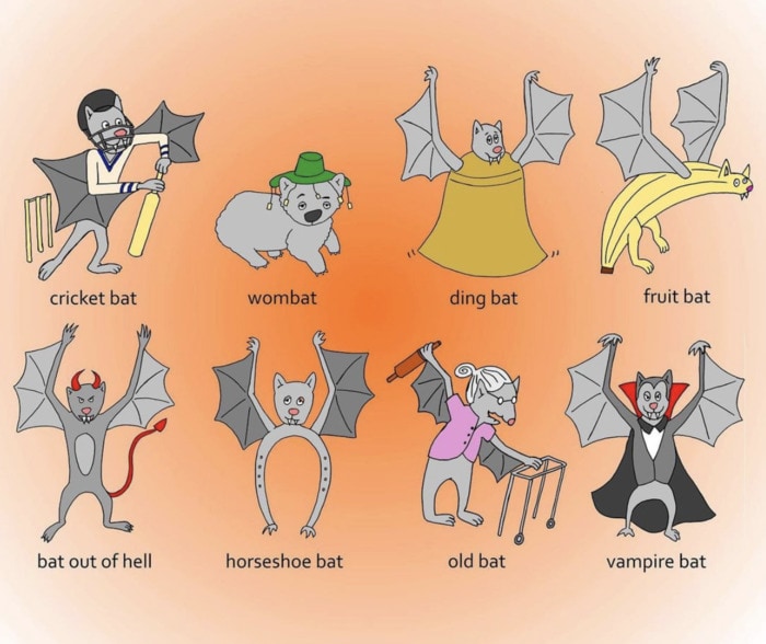 Bat Puns - Types of Bats