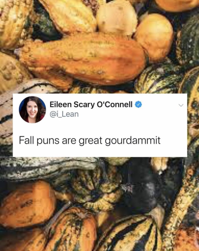 Fall Puns - Fall Puns are great gourdamit