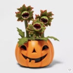 Target Halloween Faux Succulents - Dancing Venus Fly Trap Pumpkin